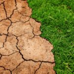 La destra parla di adattamento al cambiamento climatico, ma ignora la mitigazione