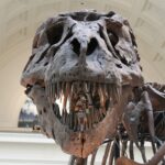 Musei della scienza o parchi giochi?